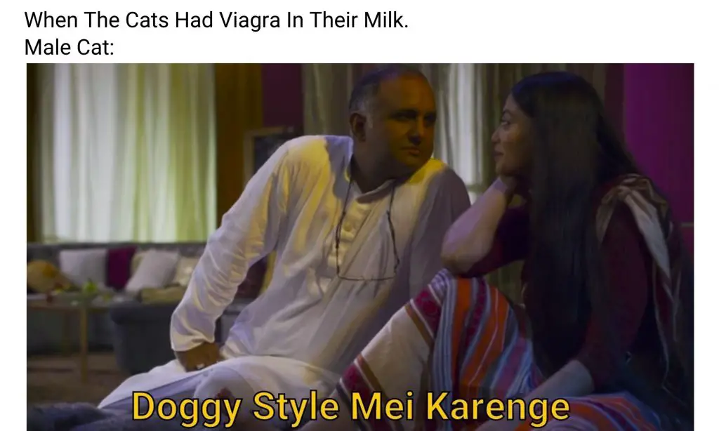 Mirzapur 2 meme on Doggy Style