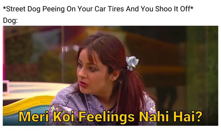 meri-koi-feelings-nahi-hai-meme-ft-dog