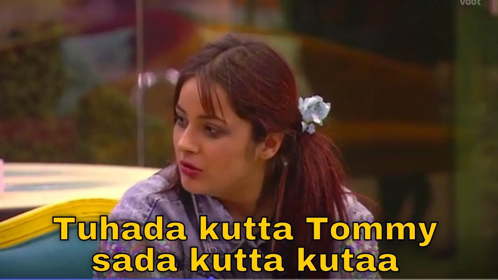 Tuada Kutta Tommy - Meme Meaning And Origin Explained