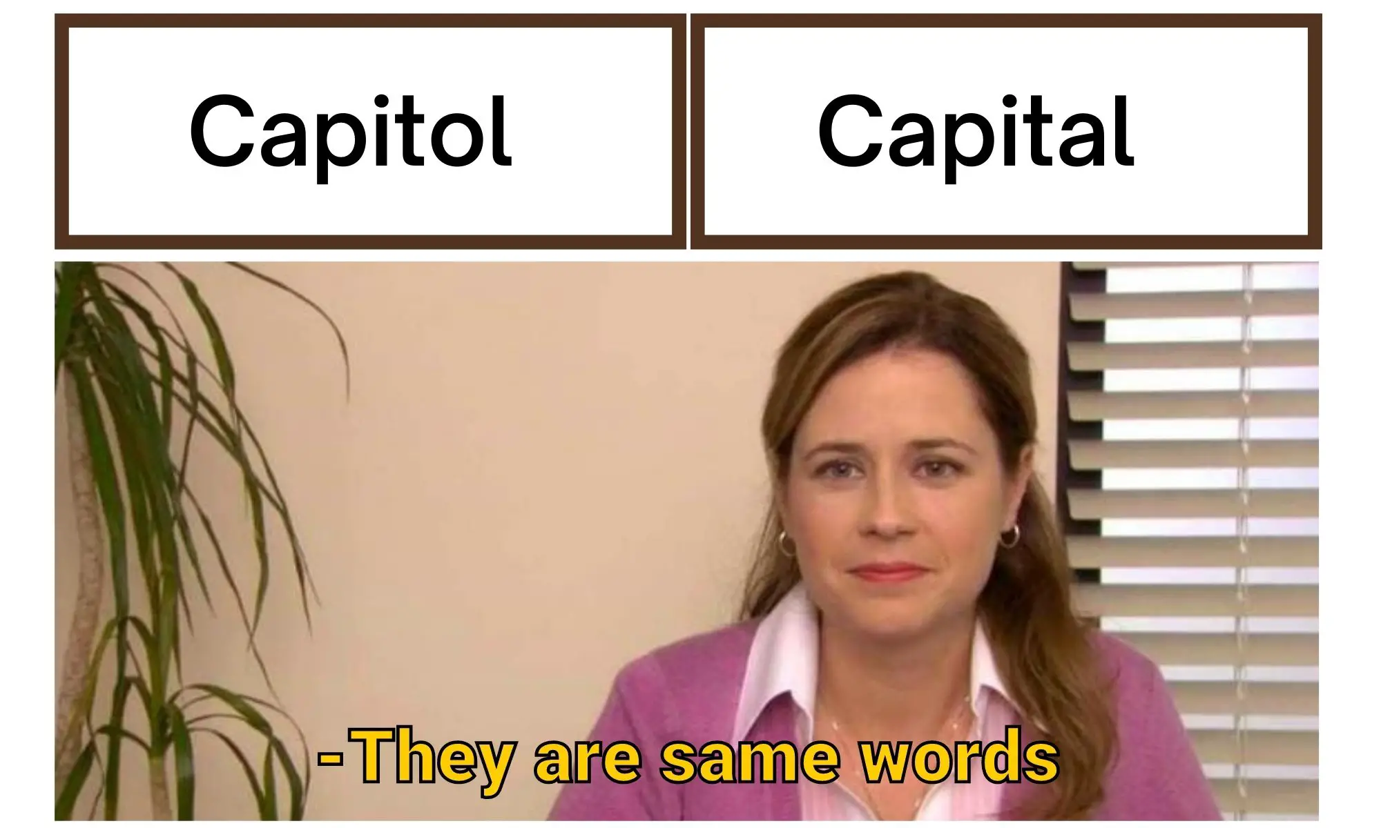 Capital vs Capitol meme on they are the same picture