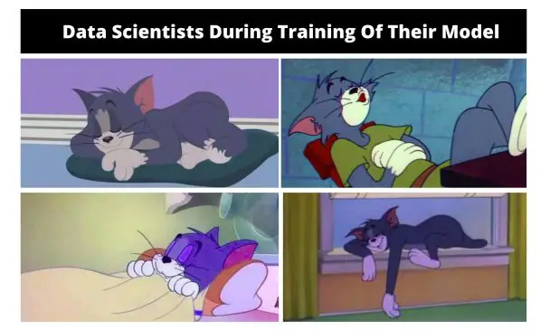 Funny Tom And Jerry Memes, Videos And GIFs | HumorNama