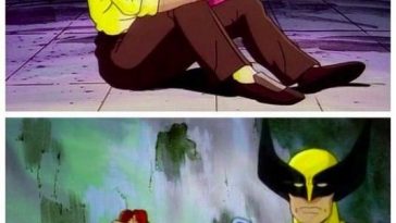 Data Scientist Meme on Python language