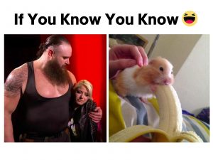 If You Know You Know meme on Braun Strowman and Alexa Bliss