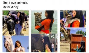 Jailyne Ojeda Meme on Animals