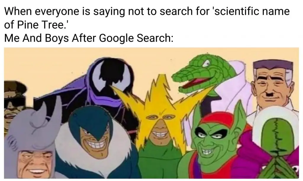 Pine Tree Scientific Name Meme Ft. Google Search