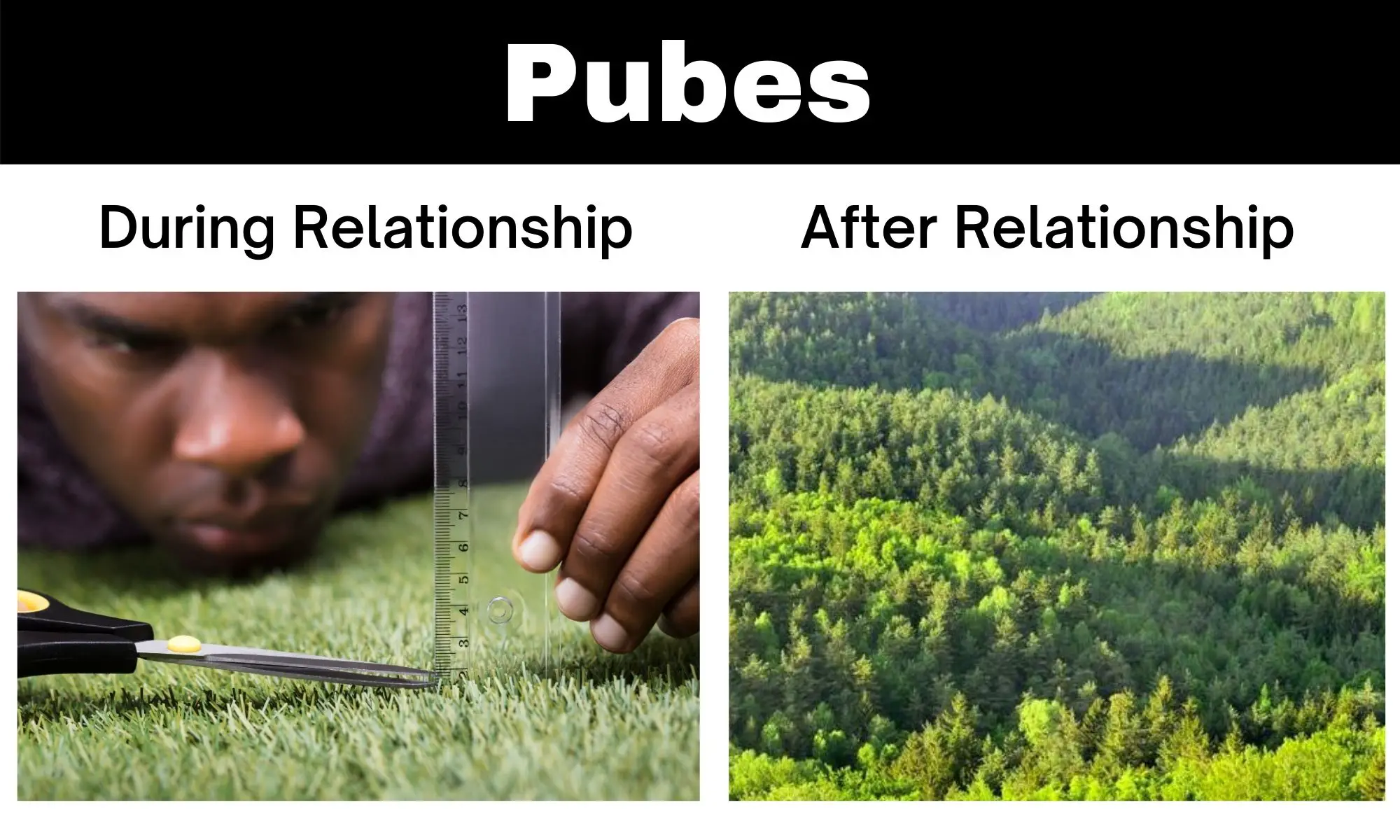 Pubes Meme Ft. Relationship
