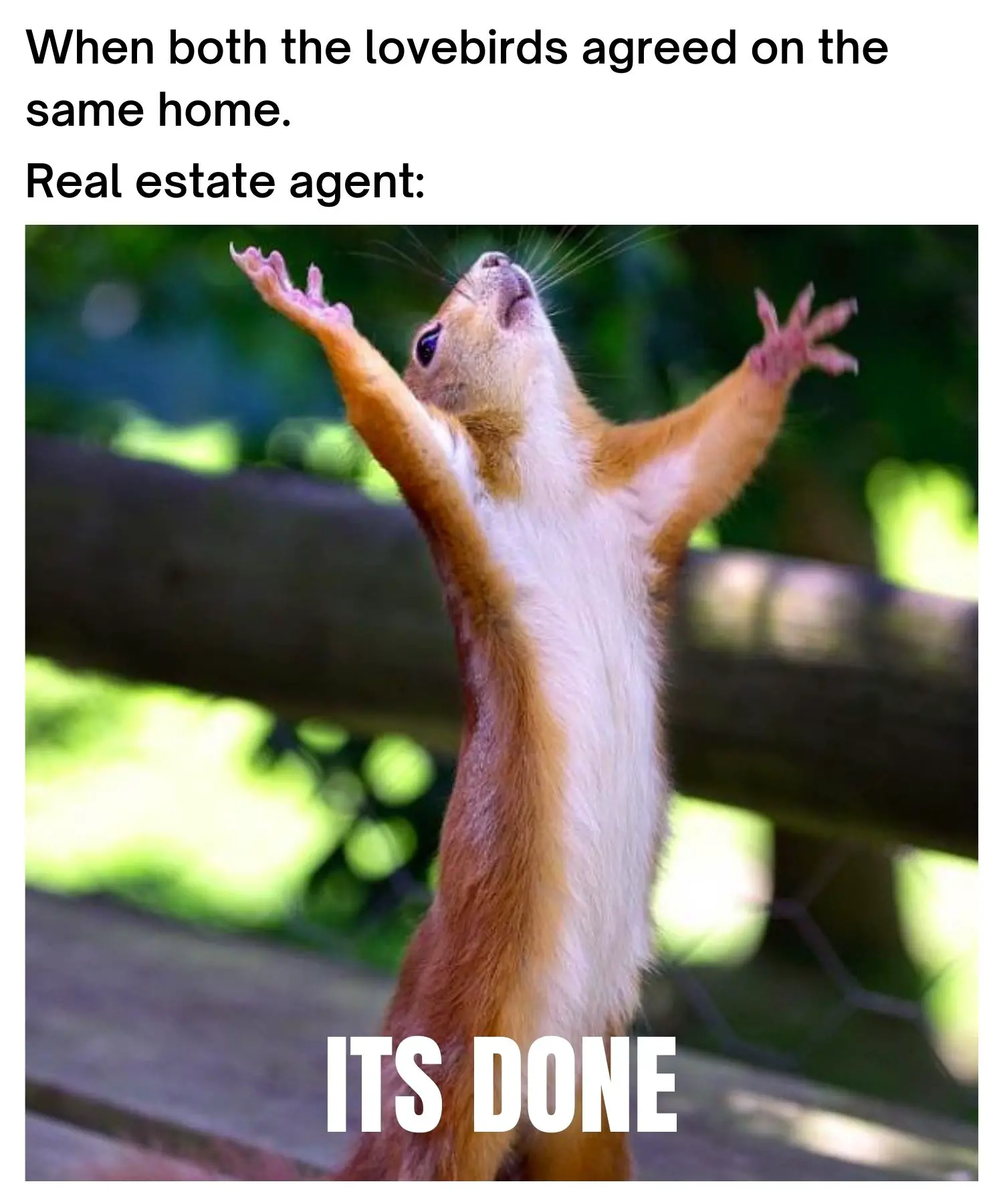 Real Estate Meme on Husband and Wife