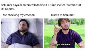 Schumer Erection meme on US Capitol Raid