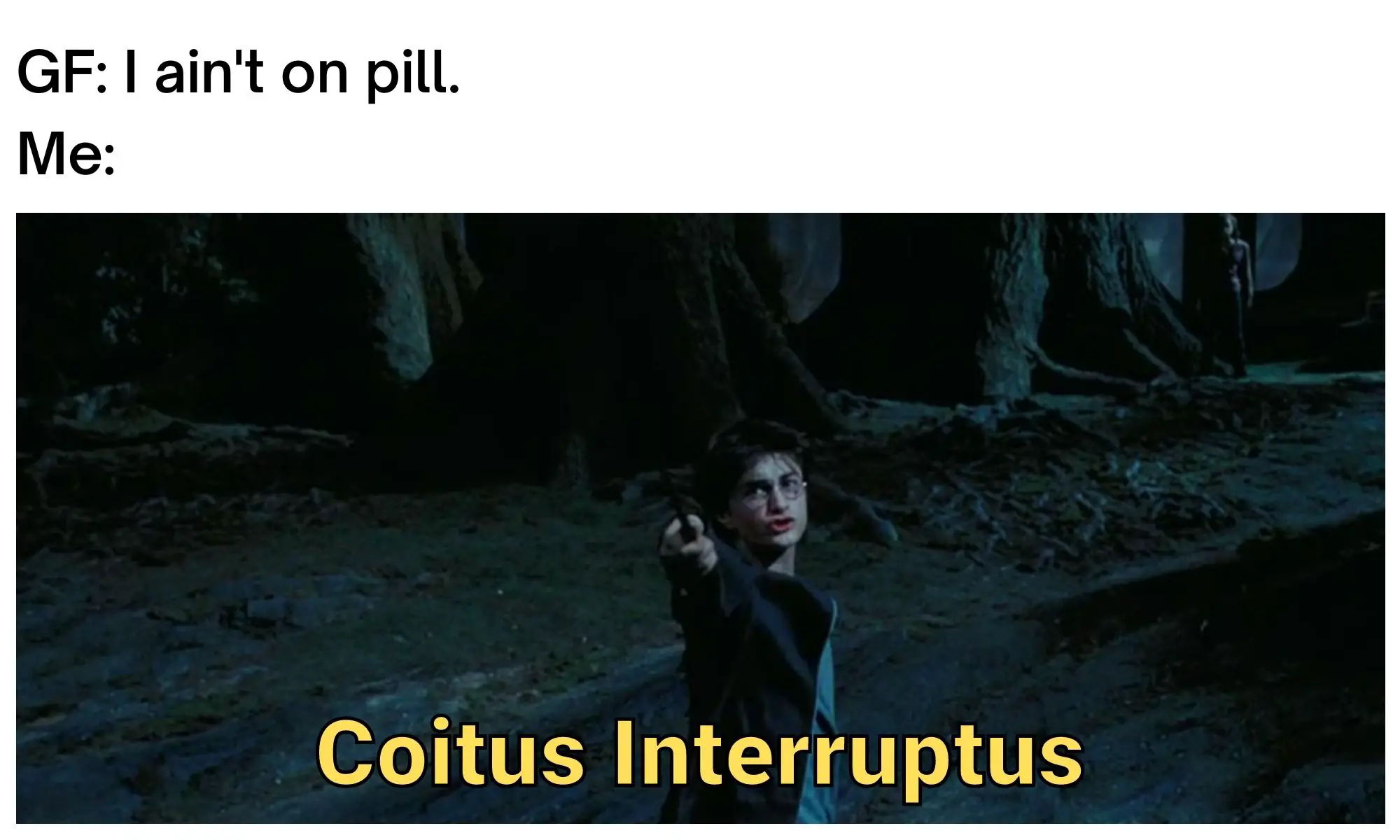 Coitus Interruptus Meme on Harry Potter