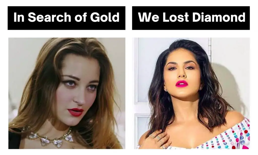 In Search of Gold We Lost Diamond Meme on Pornstar