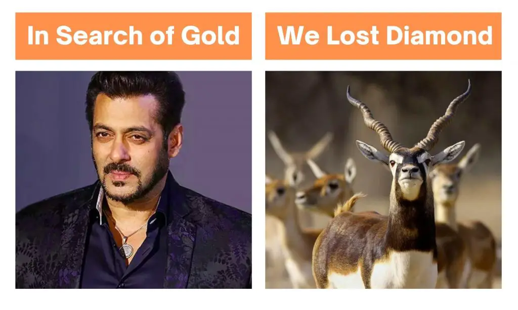 In Search of Gold We Lost Diamond Meme on Salman Khan