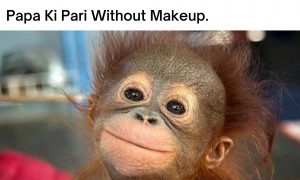 Papa Ki Pari Meme on MakeUp