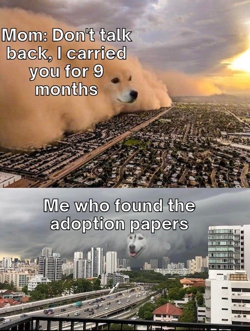 Adoption Meme on Dust Storm Dog