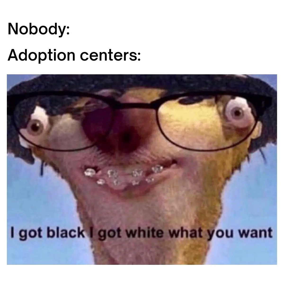 Adoption Meme on i got black i got white what you want