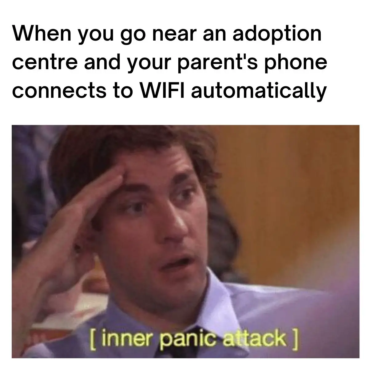 Adoption Meme on jim panic the office