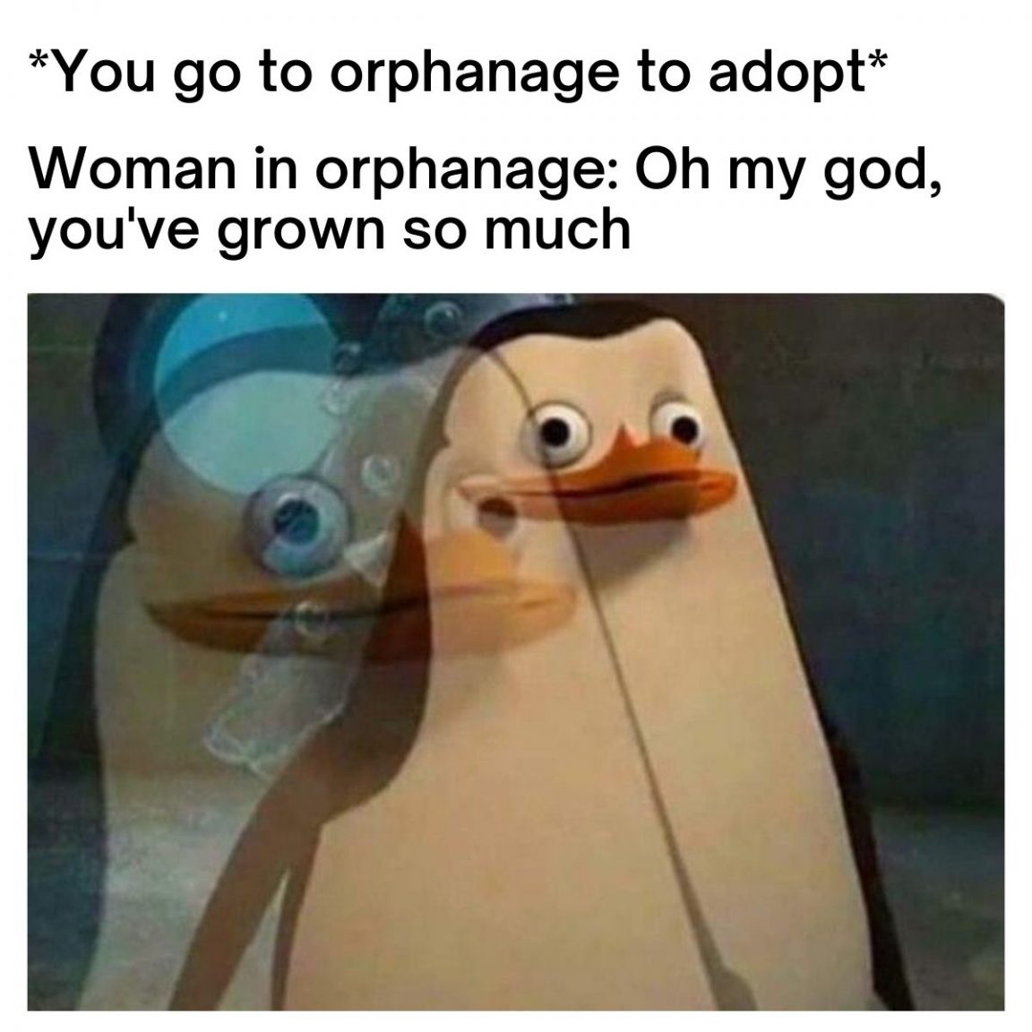 Funny Adoption Memes, Videos And GIFs | HumorNama