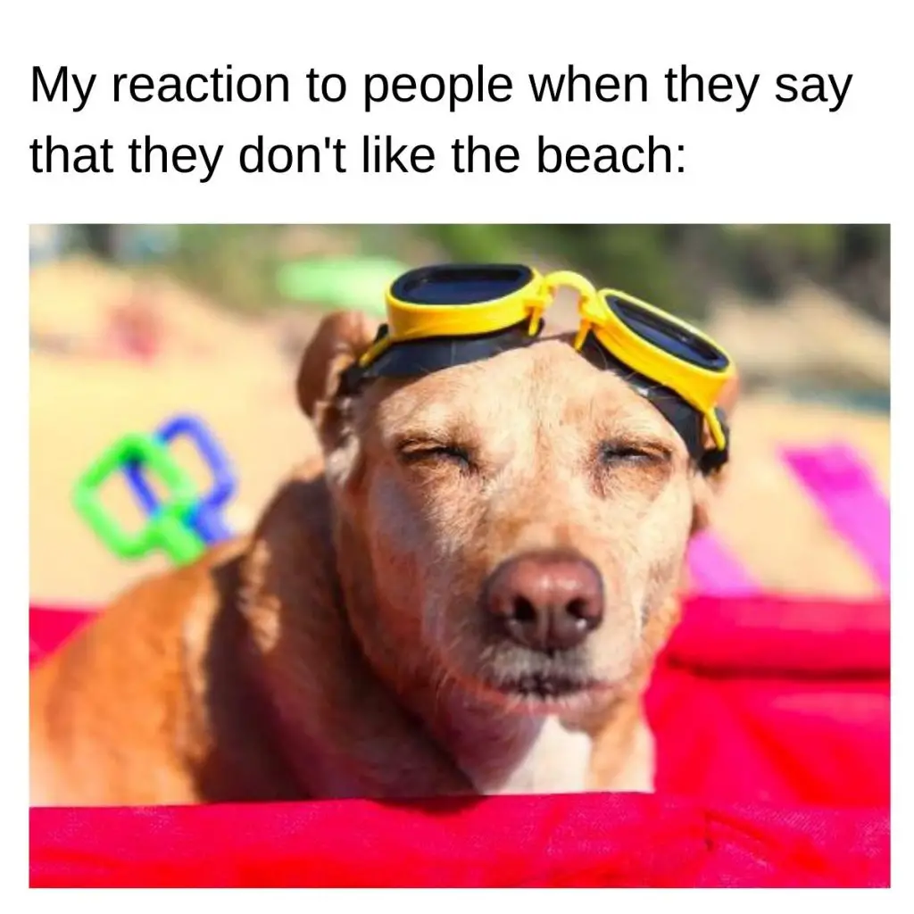 When they say they don't like the beach