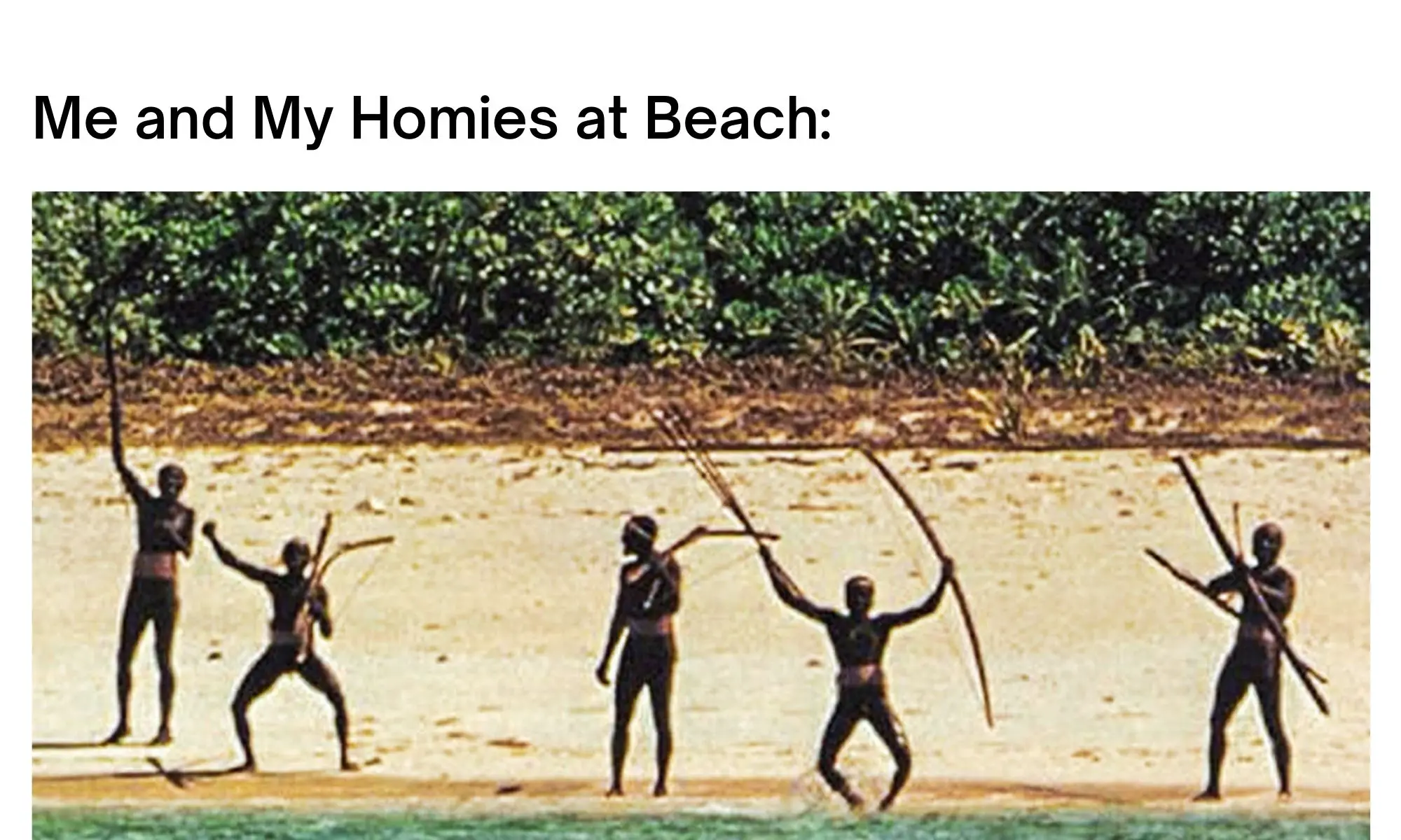 Beach meme on forbidden island in india
