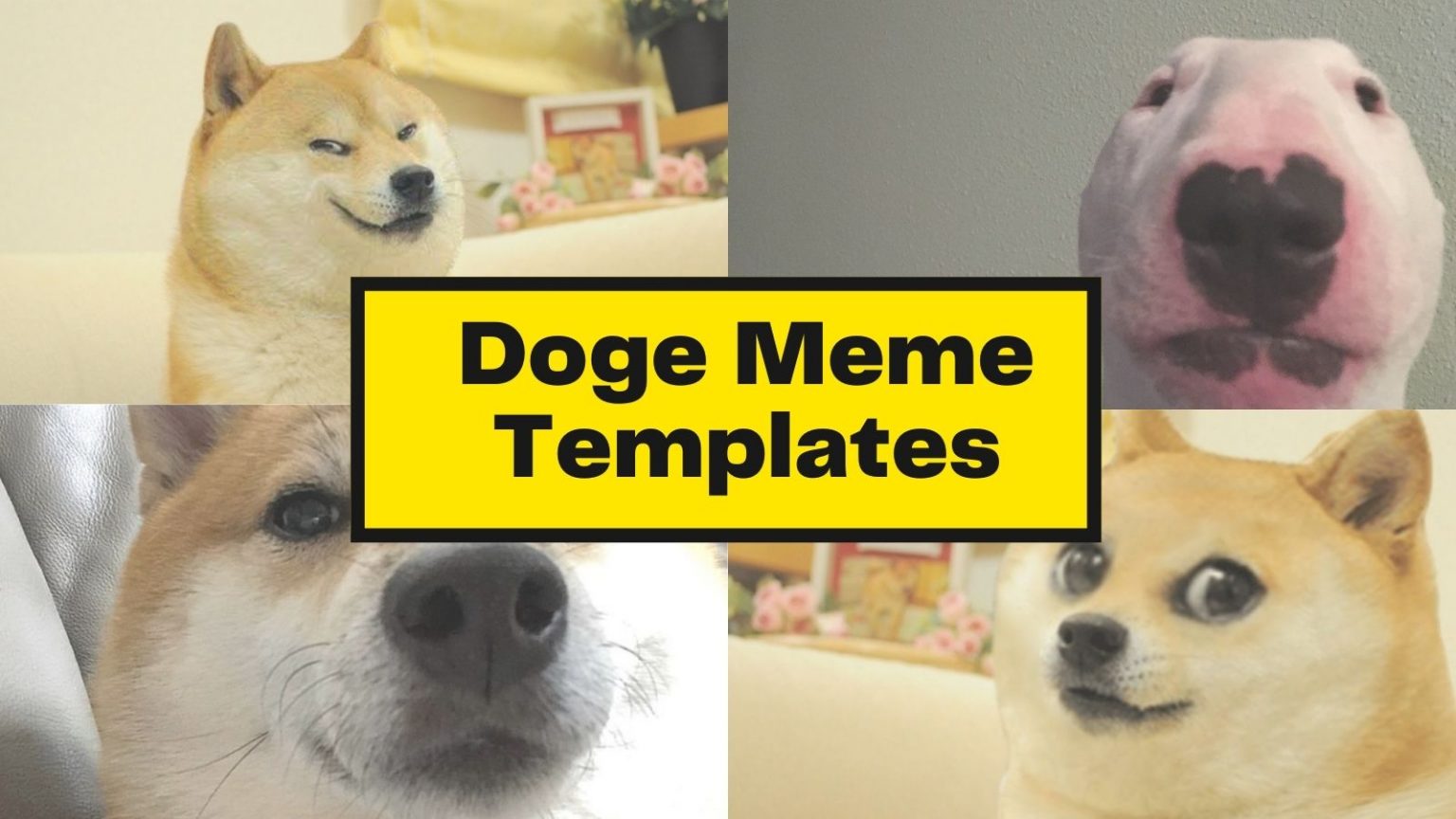 Top 20 Doge Meme Templates Of All Time - HumorNama