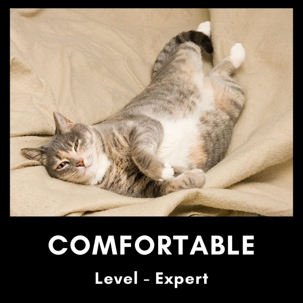 Comfortable Level