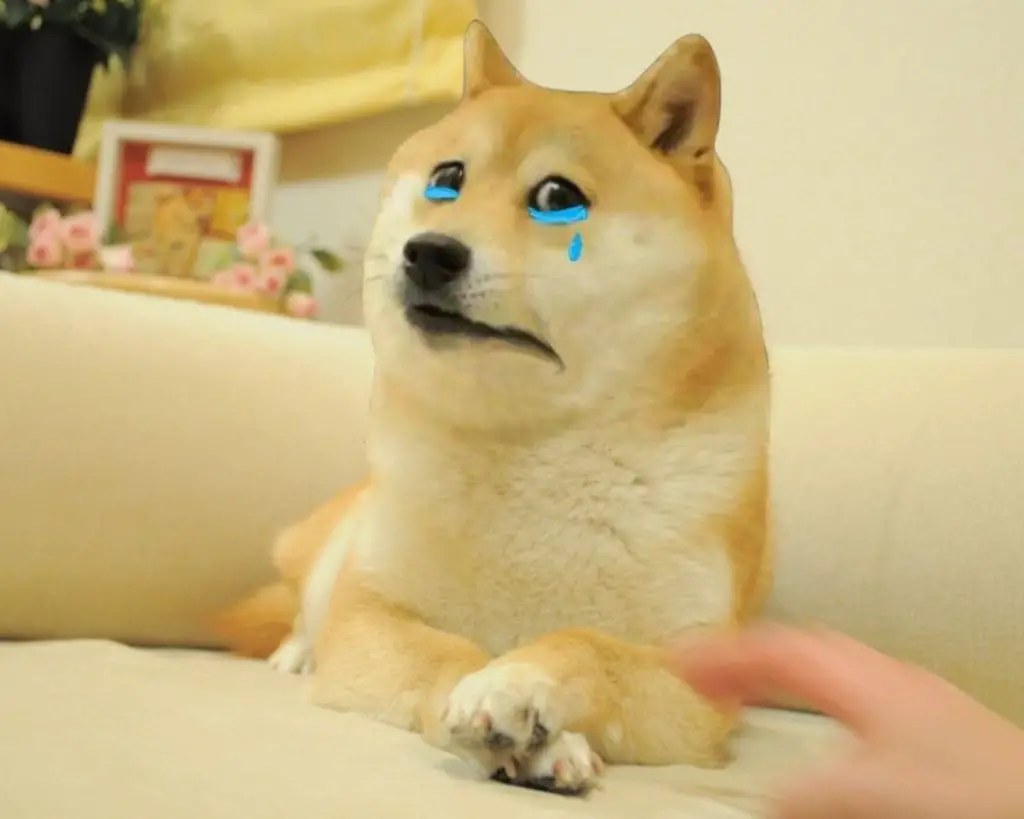 Crying Doge Meme Template