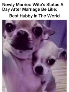 Best hubby in the world meme on dogs