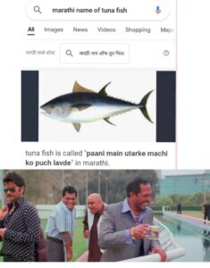Marathi Name of Tuna Fish Meme on Google Search