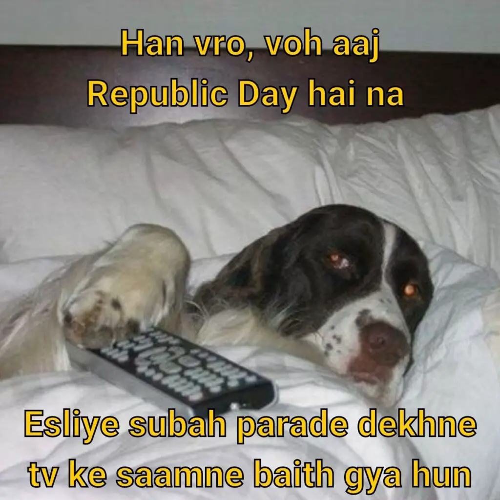 Republic Day Meme Ft. Doggo