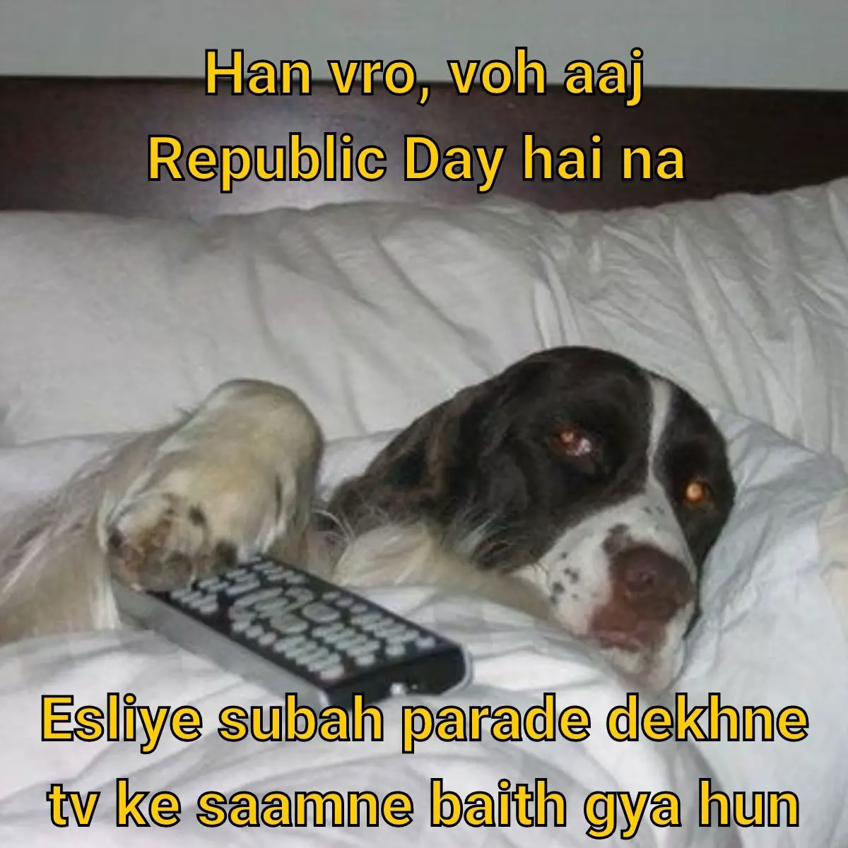 Republic Day meme on Parade