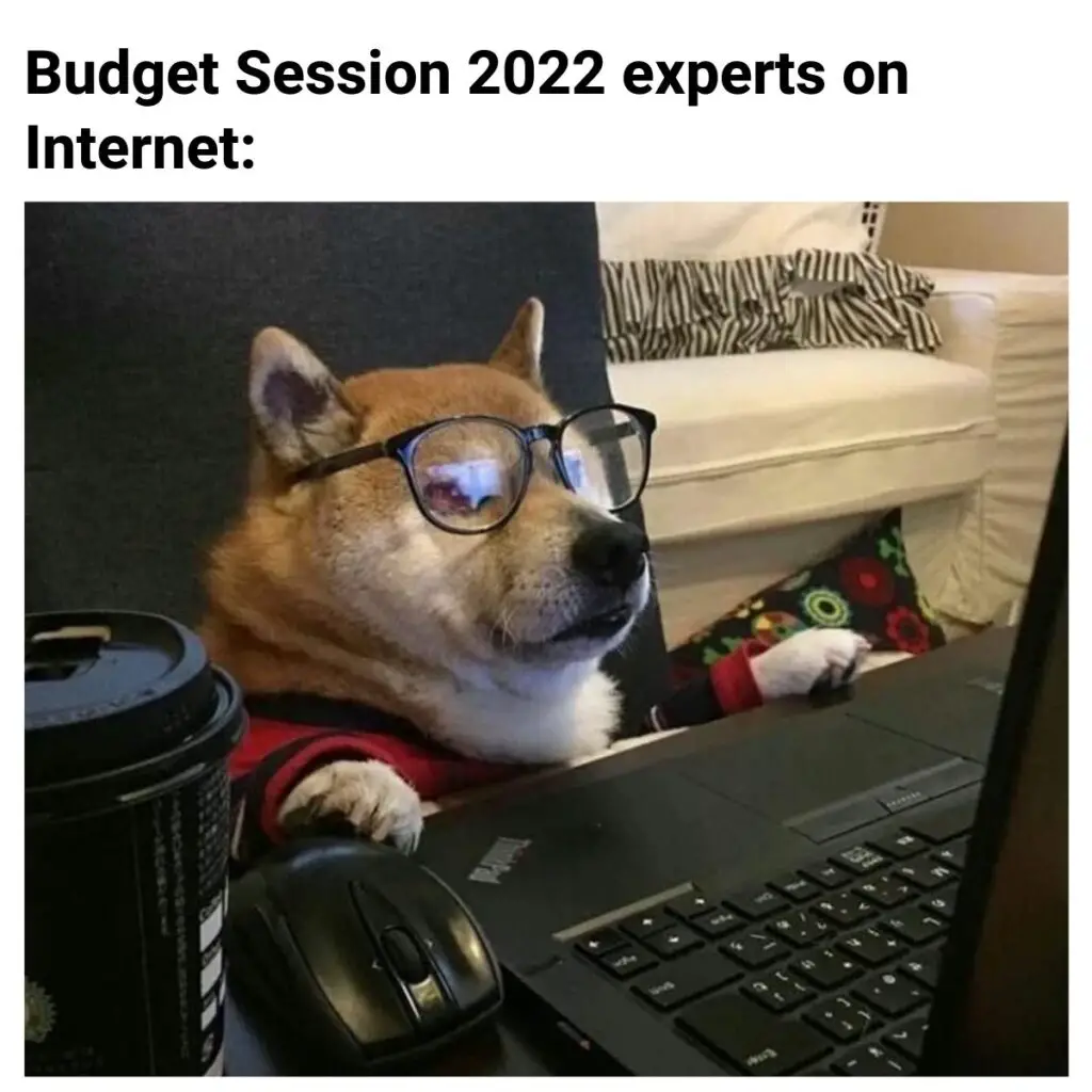 Budget 2022 Meme Ft. Experts