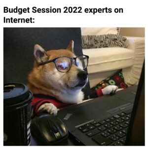 Budget 2022 meme on experts