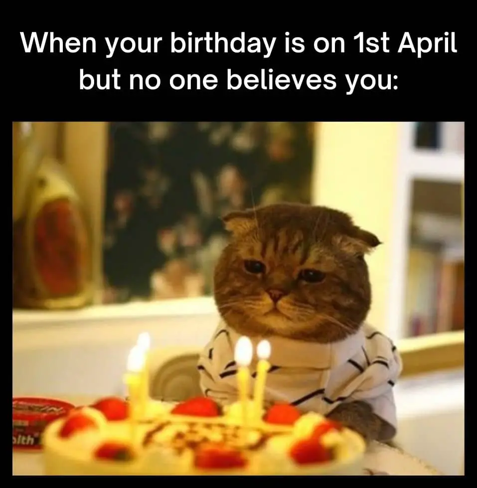 1st April meme on Birthday