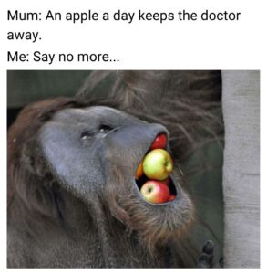 An Apple a day keeps the doctor away meme on monkey