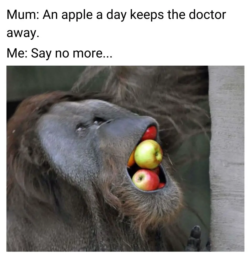 An Apple A Day Keeps The Doctor Away Meme