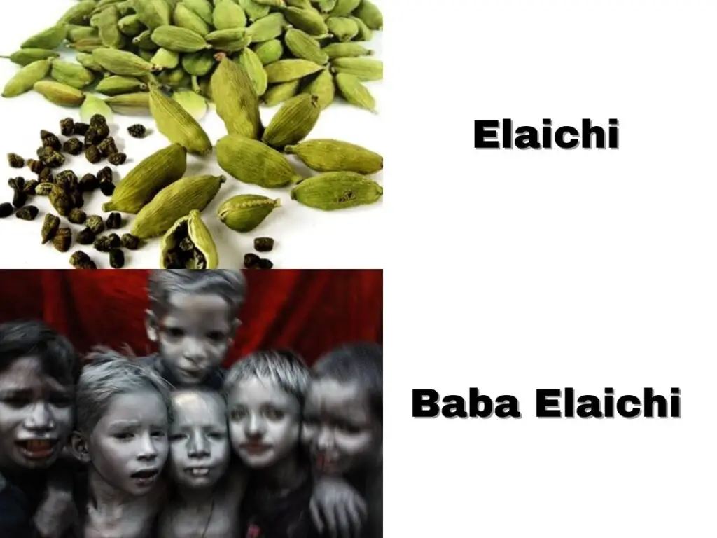 Baba Elaichi Meme Ft. Silver Color