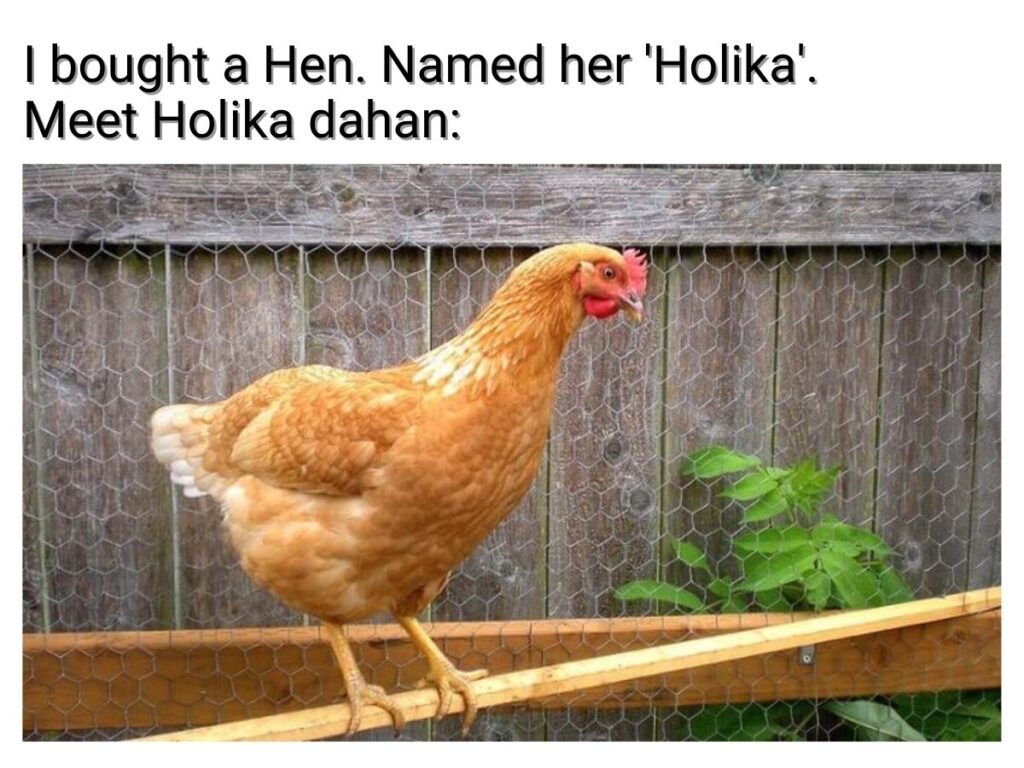 Holika Dahan Meme on Hen