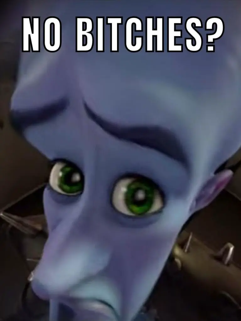 No Bitches Meme Template on Megamind
