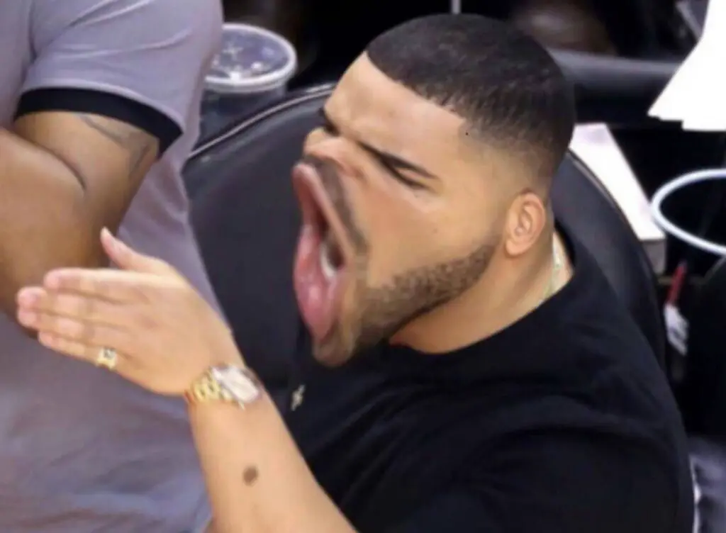 Drake Yelling Meme Template
