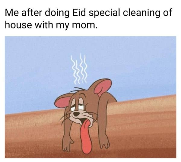 Tired Meme on Eid Cleaning