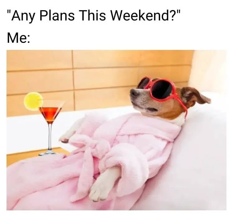 Weekend Plan Meme