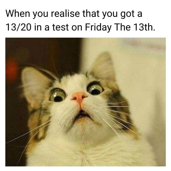 13 Number Meme on Test