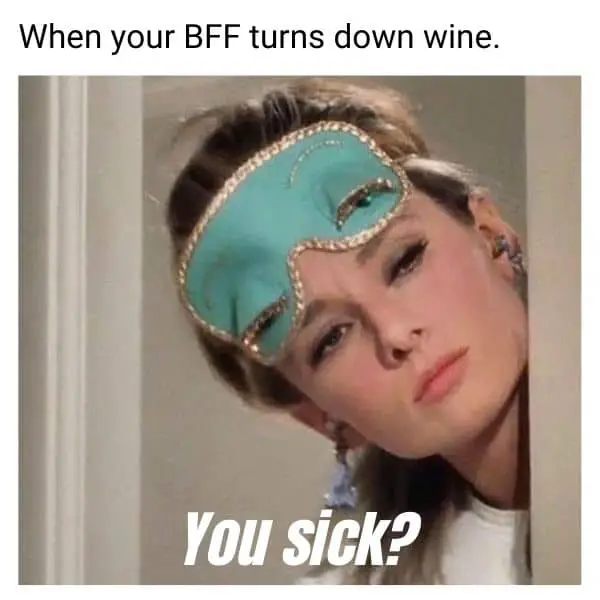 BFF Meme on Wine