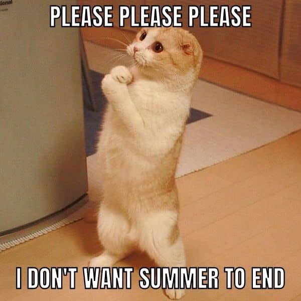 End of Summer Meme