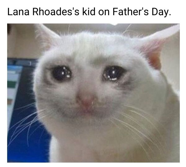Fathers Day Meme on Lana Rhoades kid