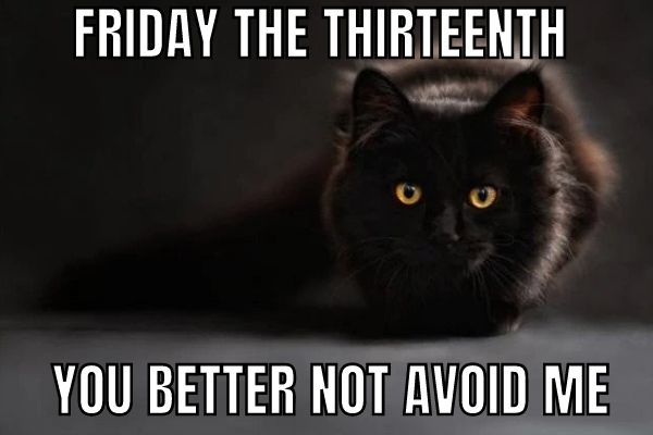 Friday The 13th Meme on Black Cat