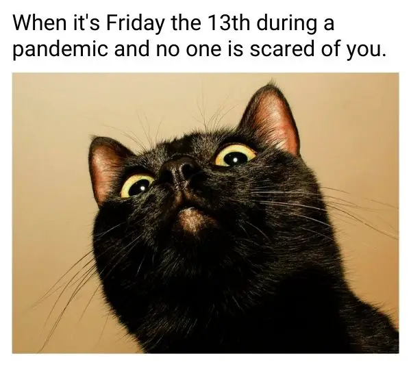 Friday The 13th Meme on Covid