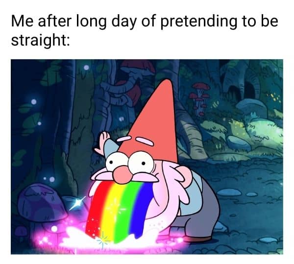 Funny Gay Meme on pretending to be straight