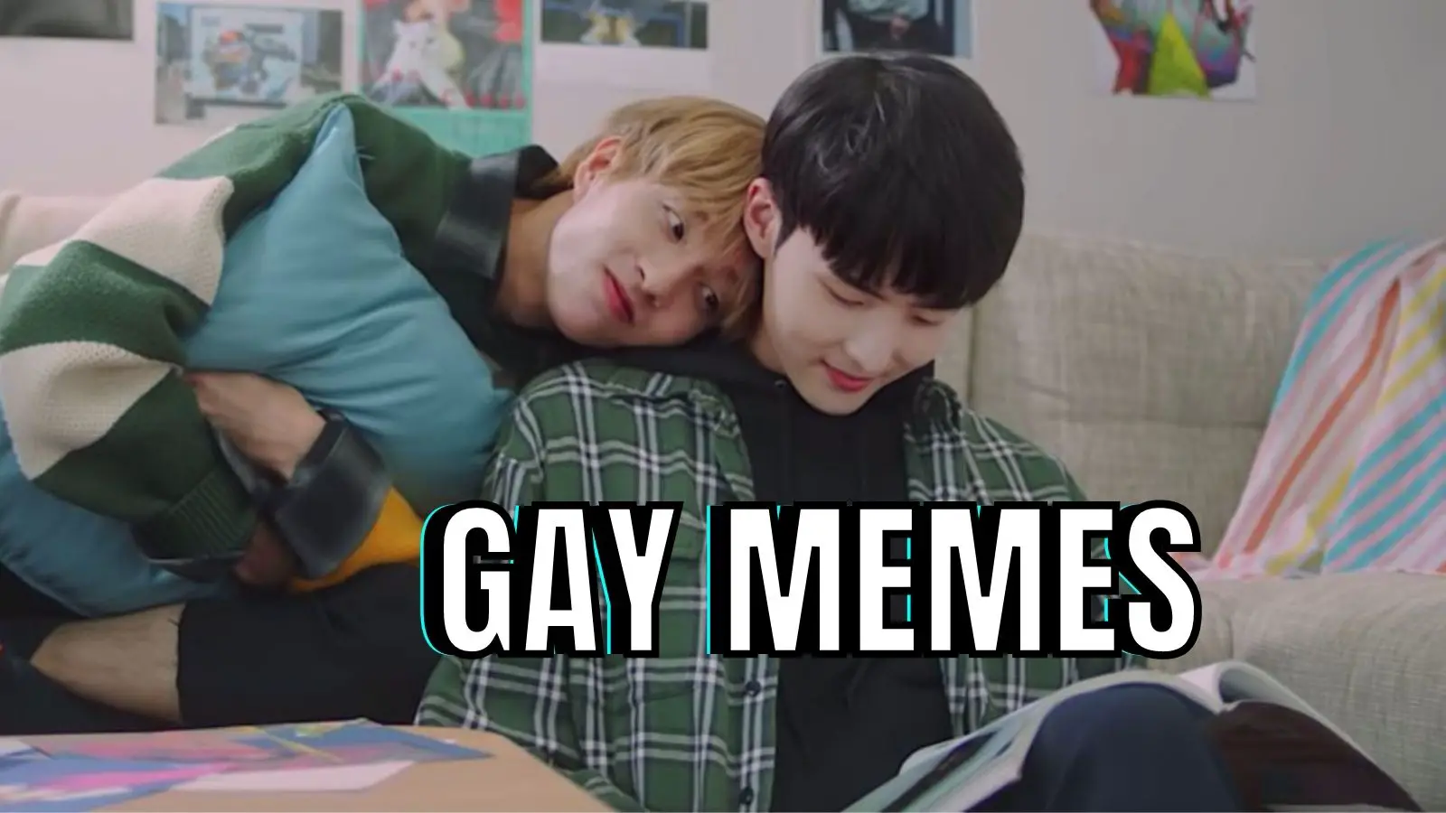 Funny Gay Memes on LGBTQ