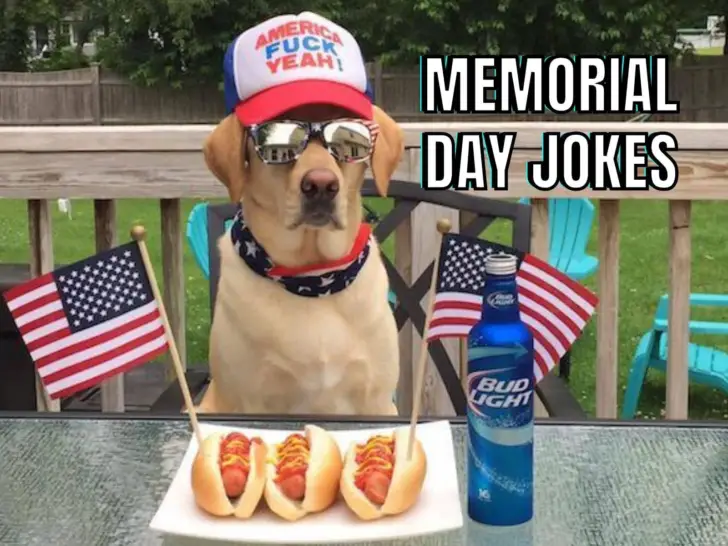50 Funny Memorial Day Jokes & Puns To Share In 2023