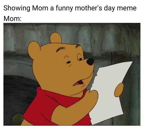 Funny Mothers Day Meme on Mom